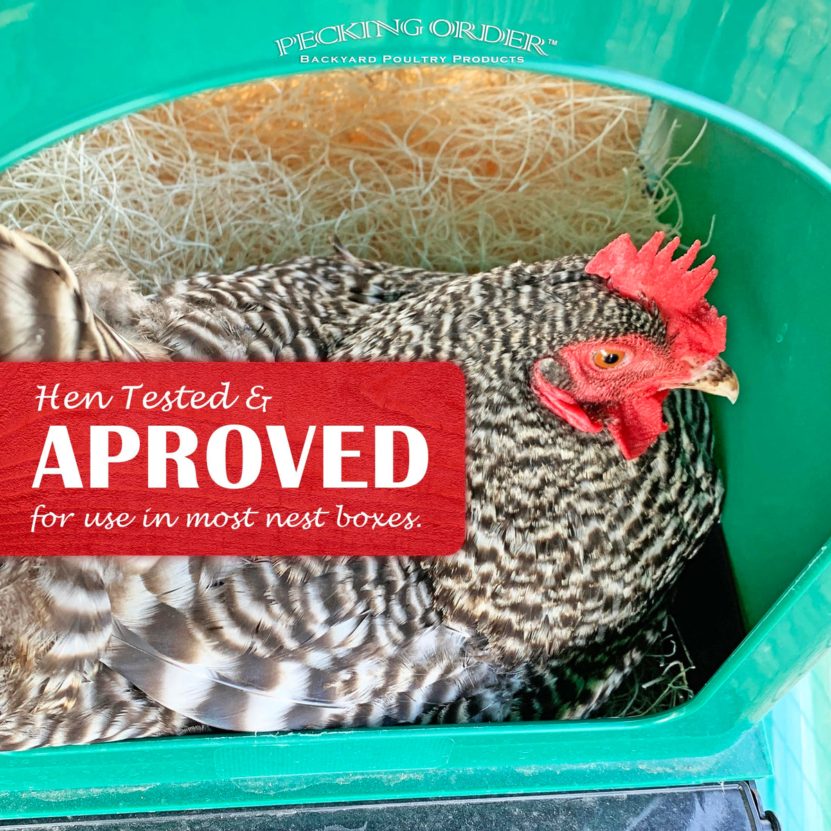 Nest Box Pads for Chicken Nesting Boxes - 13 x 13 Pads Made in USA from Sustainably Sourced Aspen Excelsior (5 Pack)