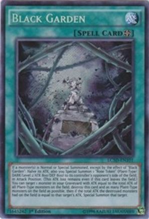 Black Garden (LC5D-EN101) - Legendary Collection 5D's 1st Edition-1