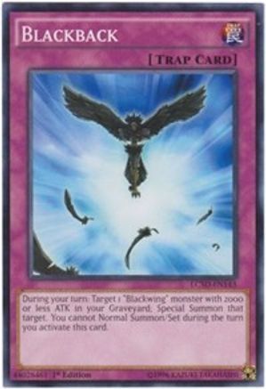 Blackback (LC5D-EN143) - Legendary Collection 5D's 1st Edition-1