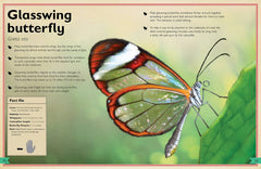 Insight Editions - The Magnificent Book of Butterflies & Moths - Ages 6+-4