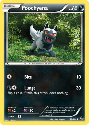 Poochyena 53/119 - XY  Phantom Forces-1