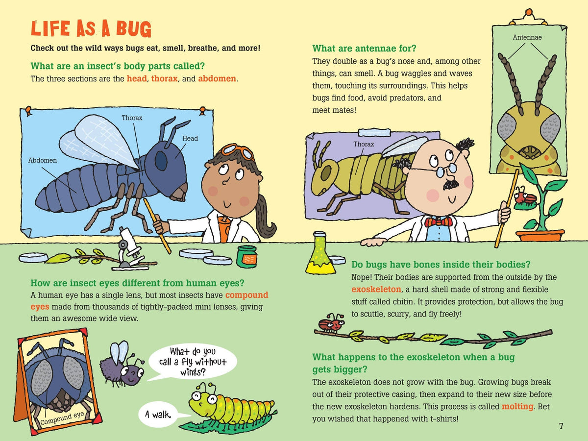 Peter Pauper Press - 100 Questions about Bugs - Ages 7+-3