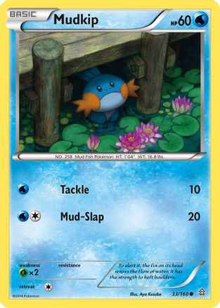 Mudkip 33/160 - XY  Primal Clash-1