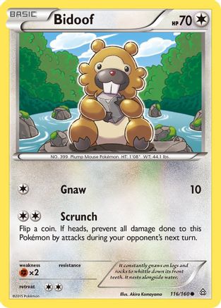 Bidoof 116/160 - XY  Primal Clash Reverse Holofoil-1