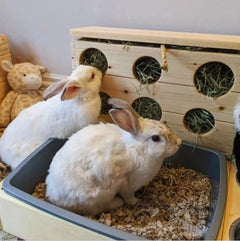 Six Hole Rabbit Hay Feeder & Litter Pan Combo-3