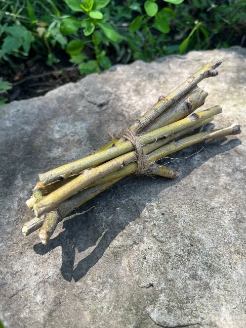 Willow Branch Bundle for Rabbits-1