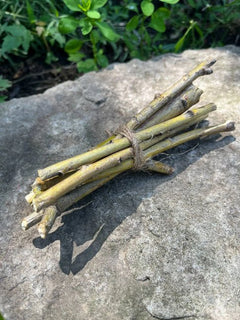 Willow Branch Bundle for Rabbits-1