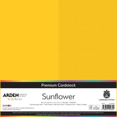 Arden Creative Studio Premium Cardstock 12in x 12in 300gsm 20 Pack-7