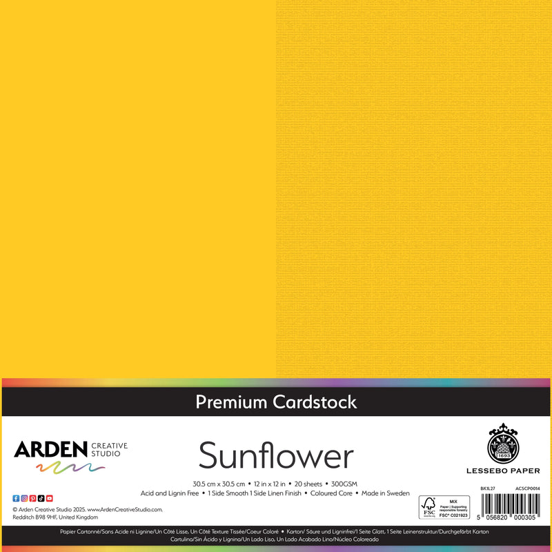 Arden Creative Studio Premium Cardstock 12in x 12in 300gsm 20 Pack-7