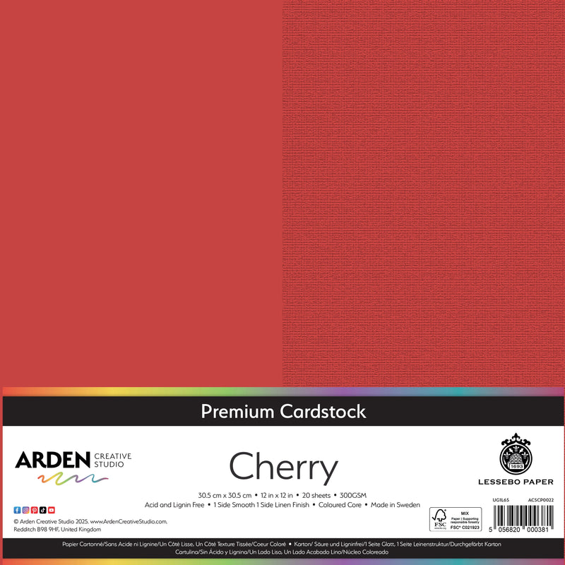 Arden Creative Studio Premium Cardstock 12in x 12in 300gsm 20 Pack-11