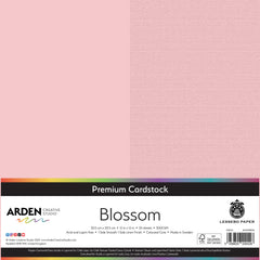 Arden Creative Studio Premium Cardstock 12in x 12in 300gsm 20 Pack-13