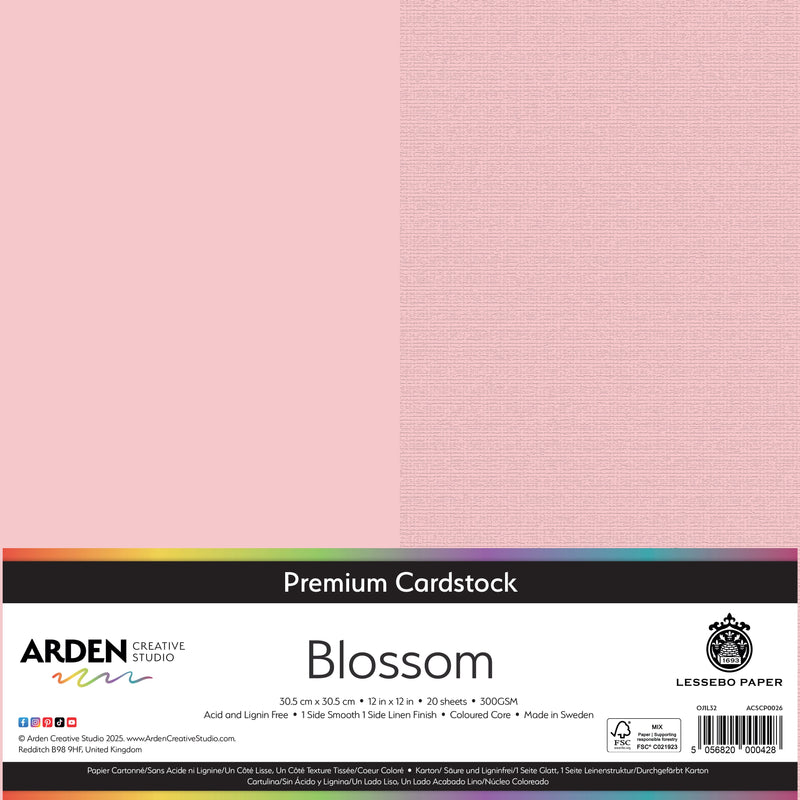 Arden Creative Studio Premium Cardstock 12in x 12in 300gsm 20 Pack-13