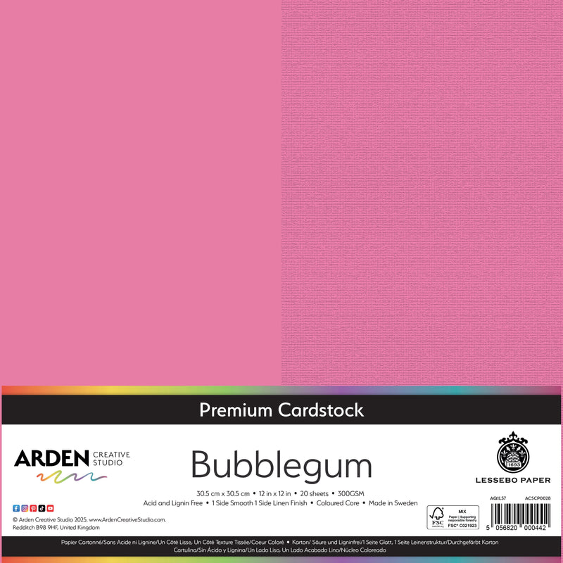 Arden Creative Studio Premium Cardstock 12in x 12in 300gsm 20 Pack-14