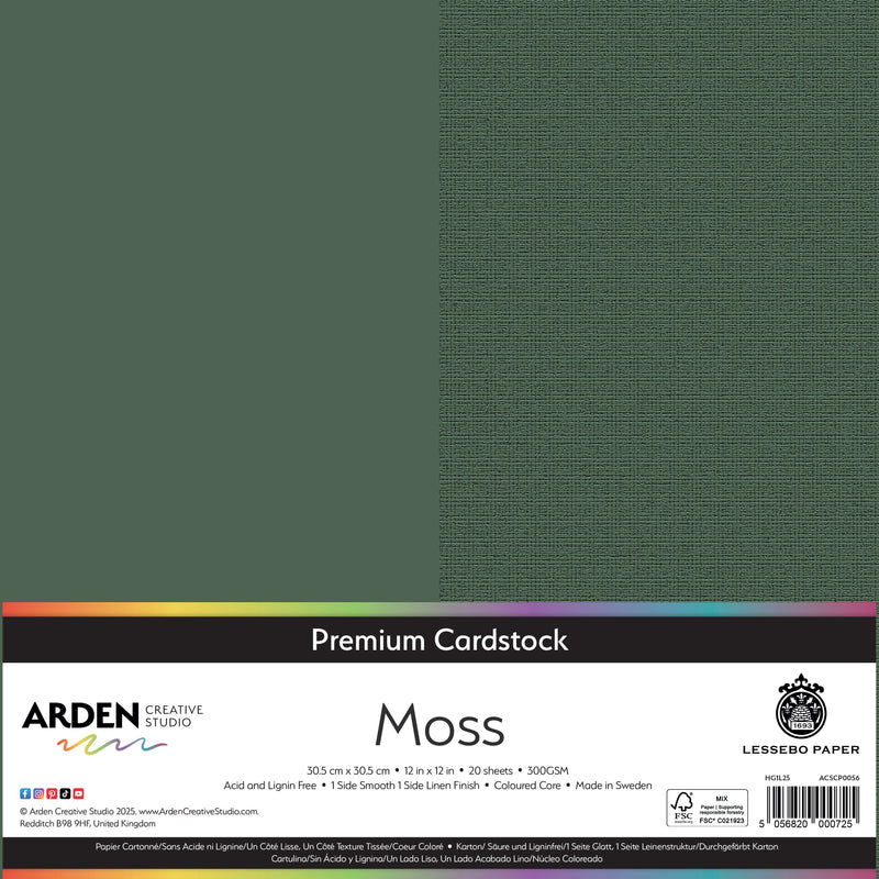 Arden Creative Studio Premium Cardstock 12in x 12in 300gsm 20 Pack-28