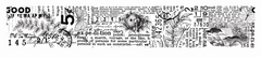 Arden Creative Studio Hidden Creek  Journal Kiss-Cut PET Tape-2