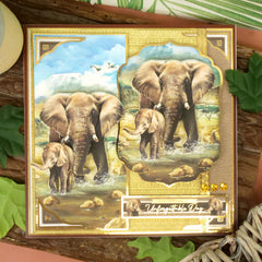 Into The Wild Adorable Scorable Selection-2