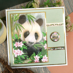 Into The Wild Adorable Scorable Selection-3
