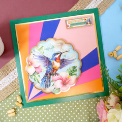 Beautiful Birds Adorable Scorable Selection-2