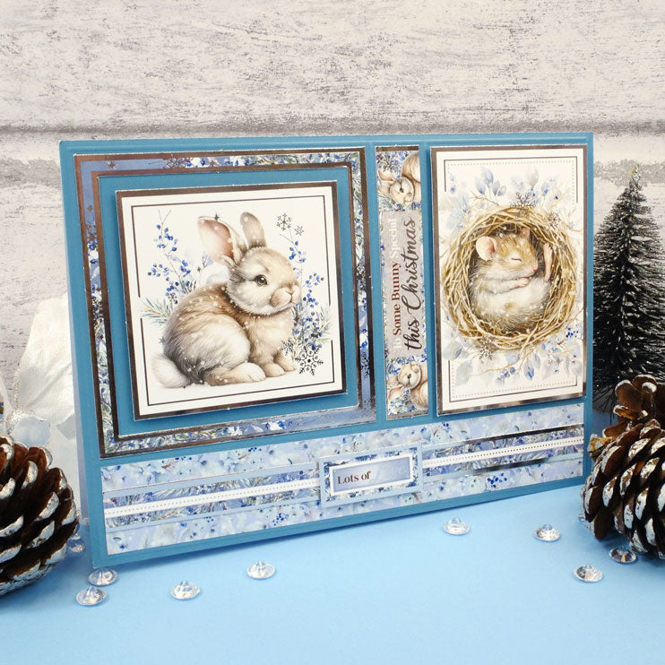 Snow Adorable Adorable Scorable Selection-3