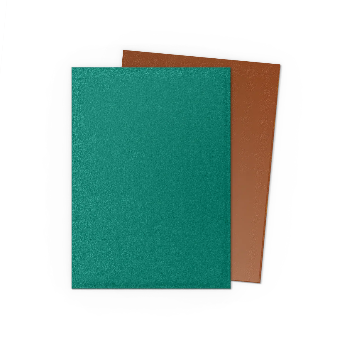 Dragon Shield Sleeves - Matte Standard (Power & Copper)-1