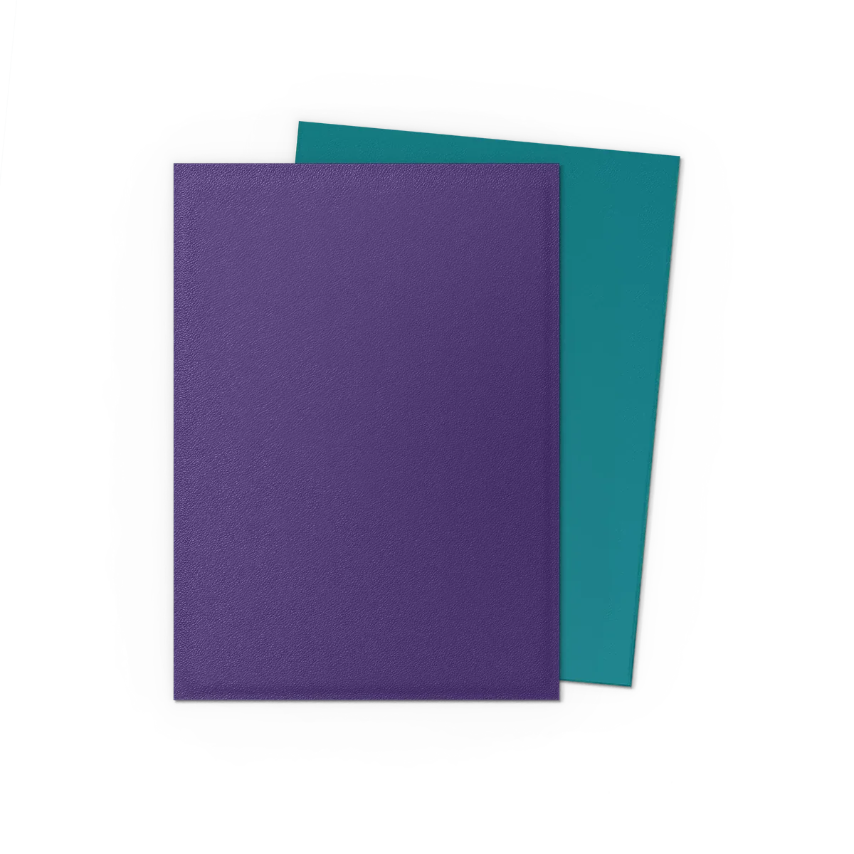 Dragon Shield Sleeves - Matte Standard (Soul & Petrol)