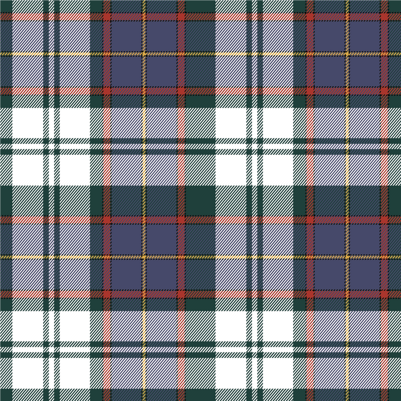 Alberta Dress Tartan Adhesive Vinyl-1