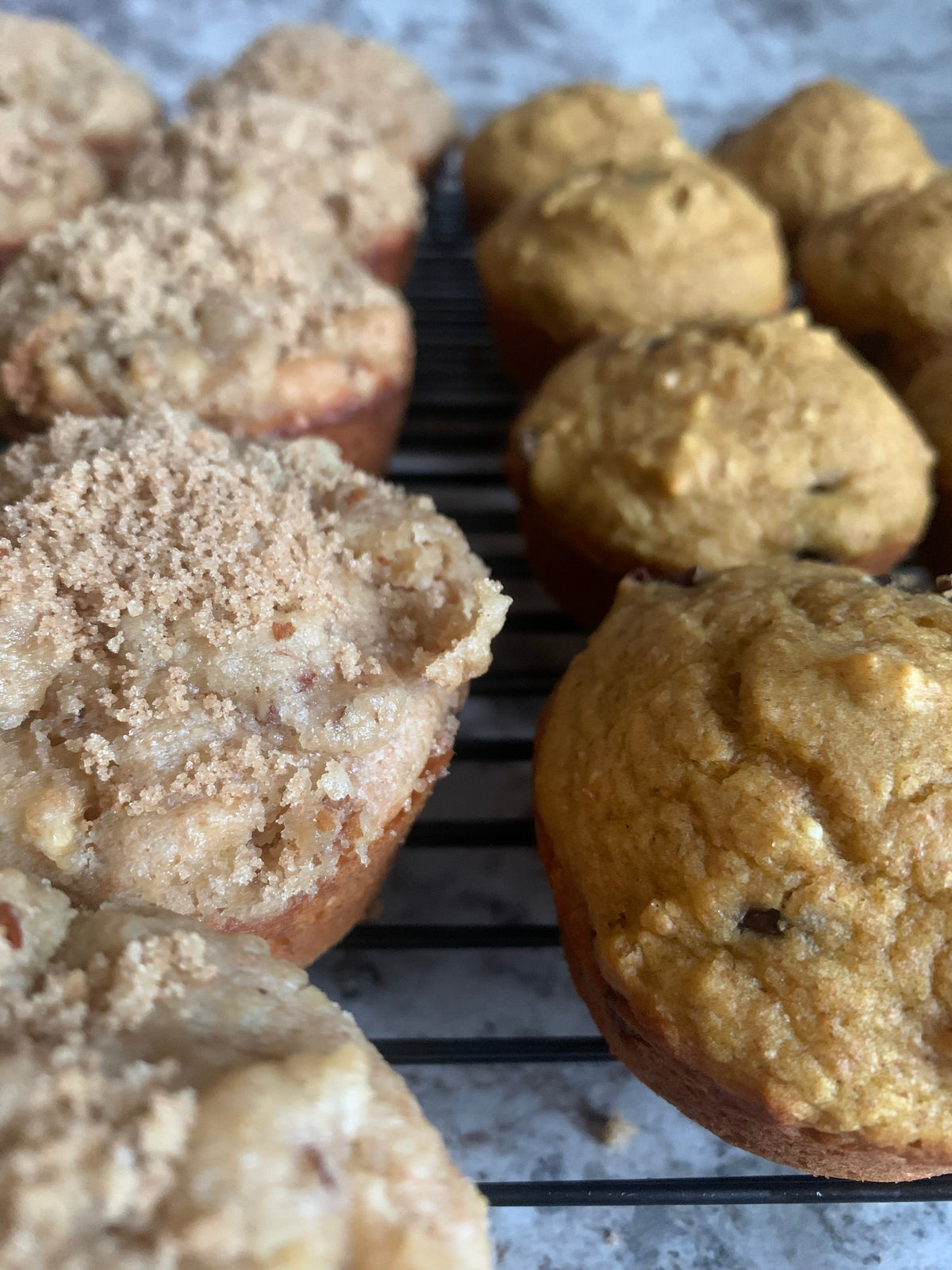 Organic Ancient Grain Muffin Mix-5