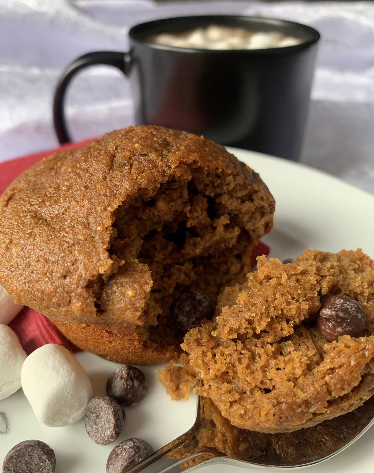 Organic Ancient Grain Muffin Mix-6