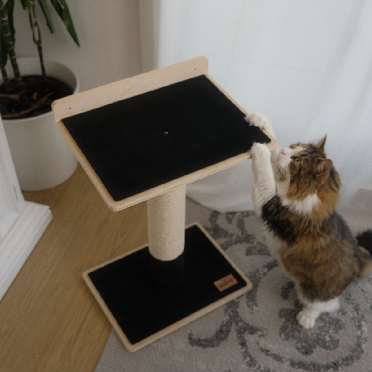 Noba Modern Plywood 1-Level Cat Tree-3