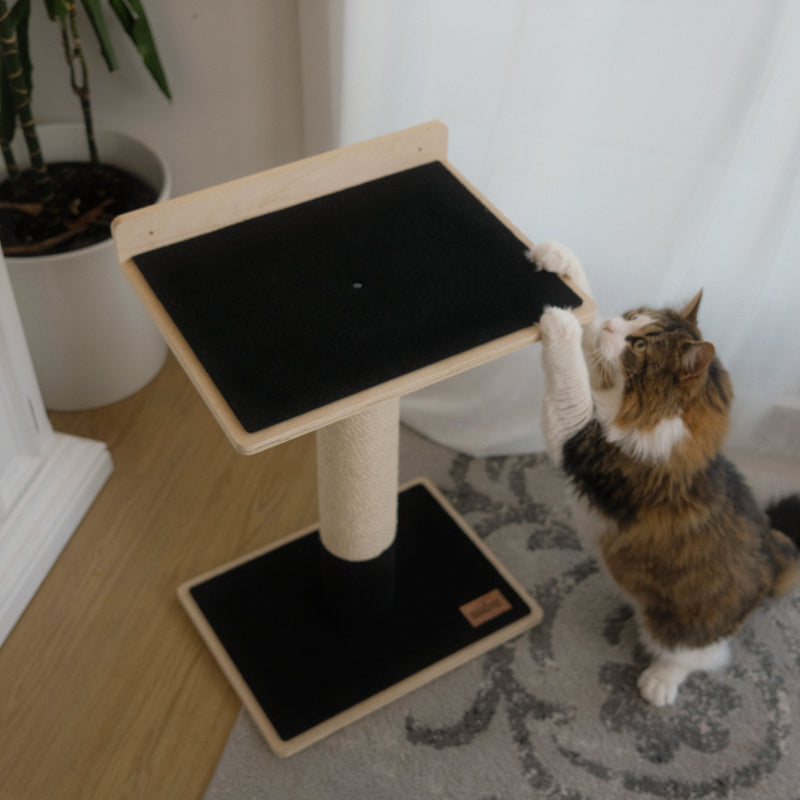 Noba Modern Plywood 1-Level Cat Tree-3