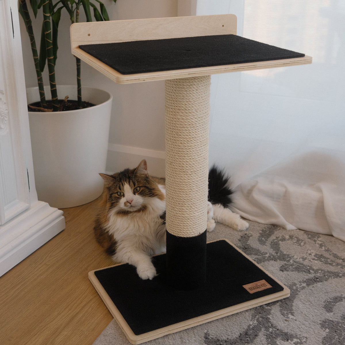 Noba Modern Plywood 1-Level Cat Tree-8