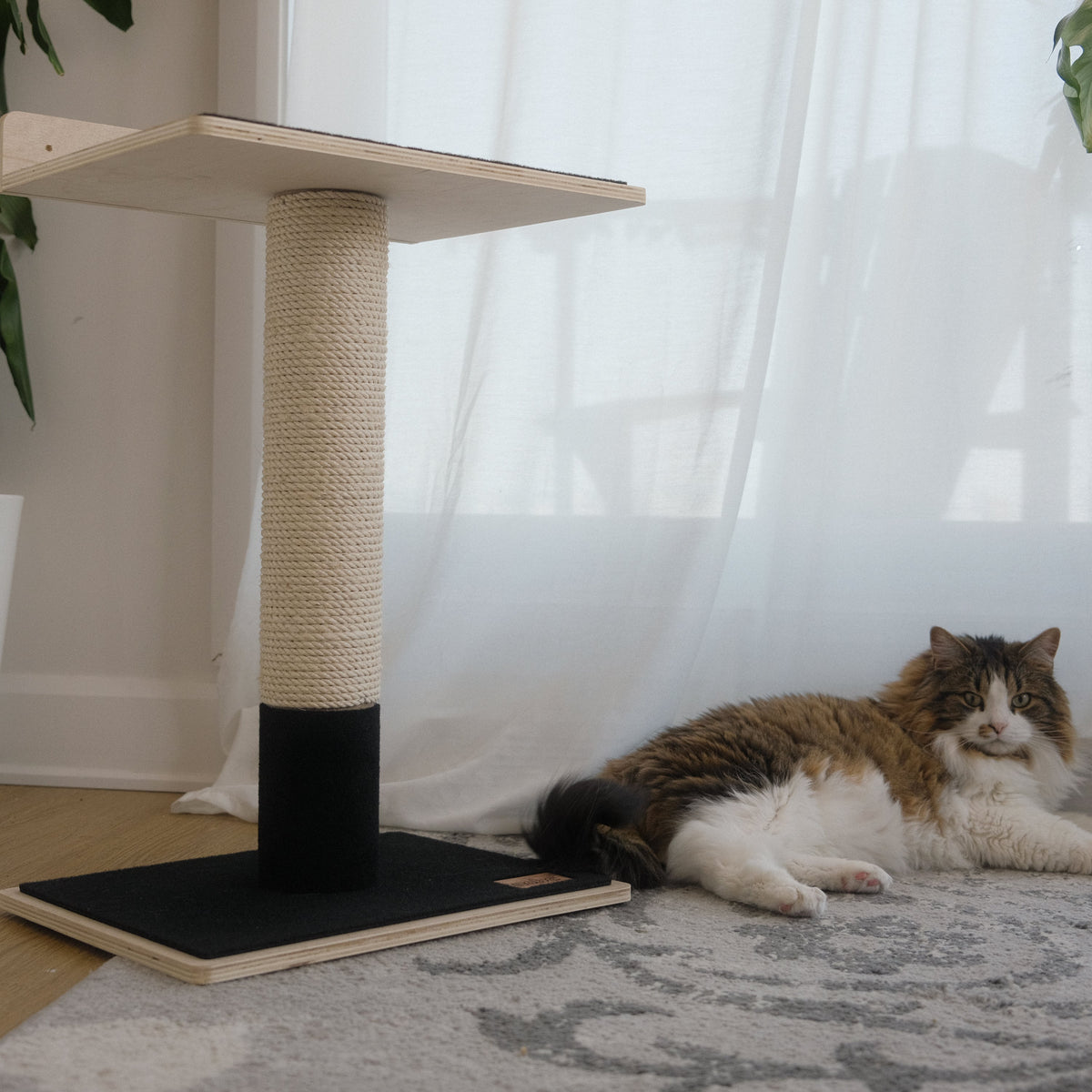 Noba Modern Plywood 1-Level Cat Tree-10
