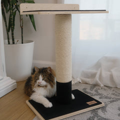 Noba Modern Plywood 1-Level Cat Tree-9