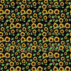 Arizona Sunflower Prints HTV-1