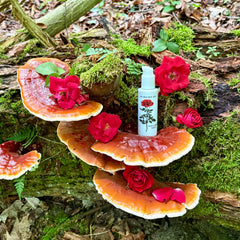 ROSE & REISHI SERUM-3