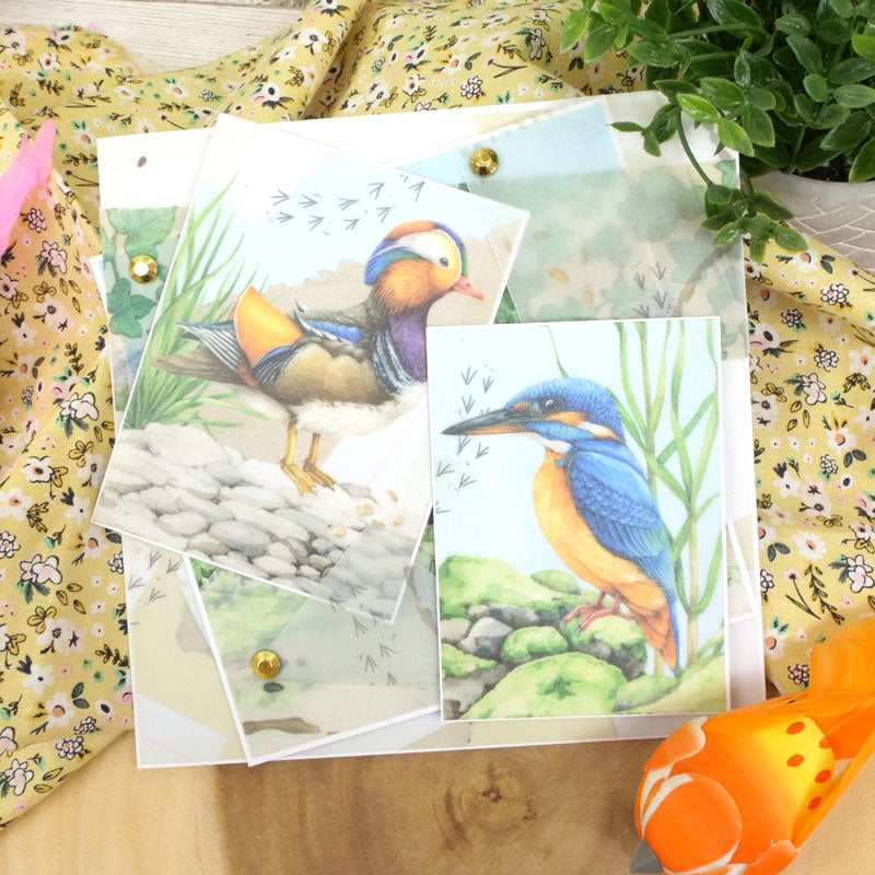 Pergamino estampado con aves botánicas-2