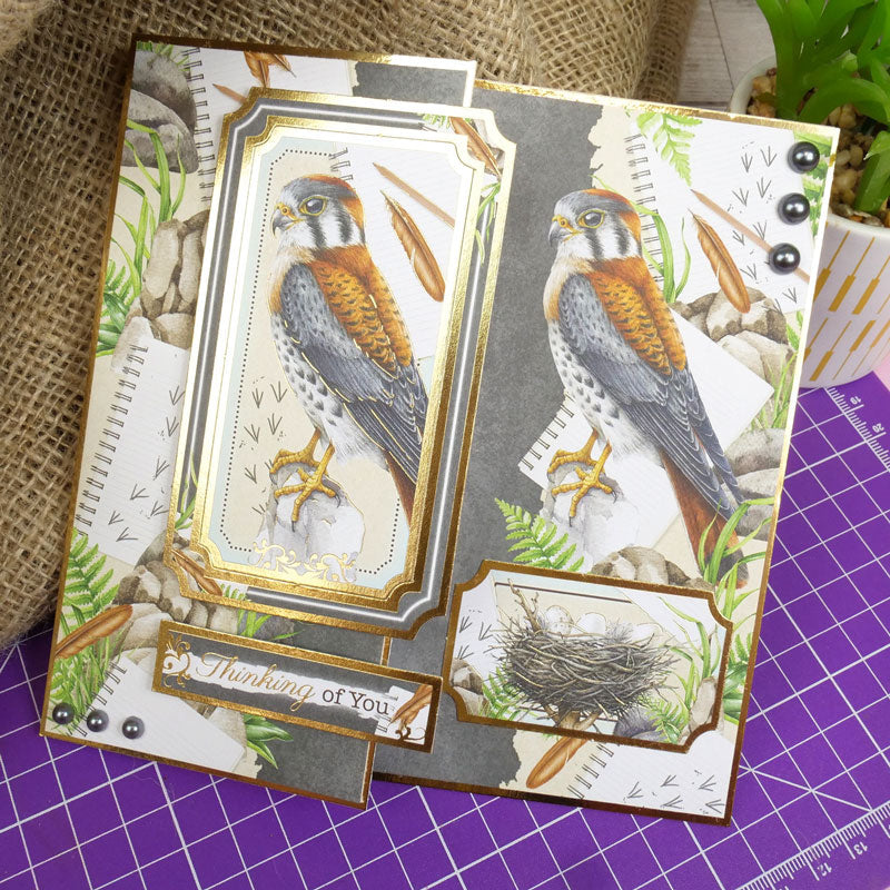 Set de adornos de lujo Soaring Skies-5