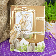 Set de adornos de lujo Soaring Skies-6