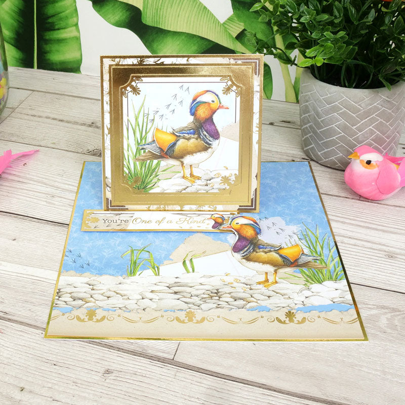 Set de adornos de lujo Wonderful Wetlands-6