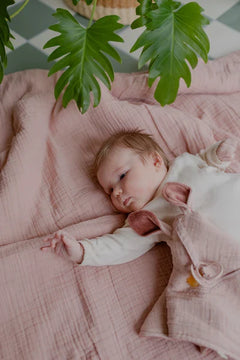 Cuddle Cloth Kangaroo by BIBS-1