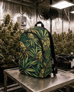 Big Buds Stash Pack-1