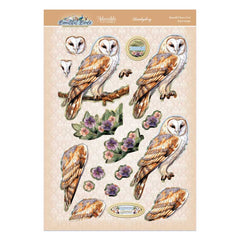 Ensemble Deco-Large Magnifiques Oiseaux - Belle Chouette Effraie-3