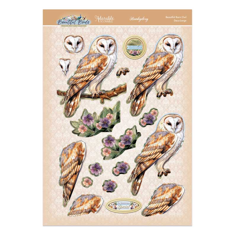 Ensemble Deco-Large Magnifiques Oiseaux - Belle Chouette Effraie-3