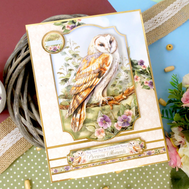 Ensemble Deco-Large Magnifiques Oiseaux - Belle Chouette Effraie-5