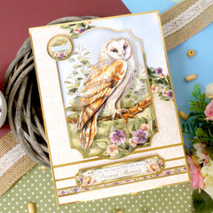 Ensemble Deco-Large Magnifiques Oiseaux - Belle Chouette Effraie-5