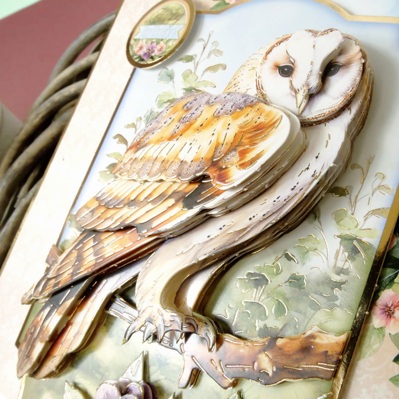 Ensemble Deco-Large Magnifiques Oiseaux - Belle Chouette Effraie-6