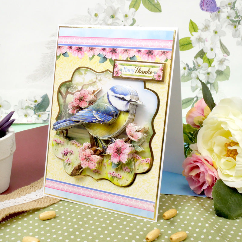 Beautiful Birds Deco-Large Set - Brilliant Blue Tit-5