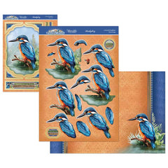 Beautiful Birds Deco-Large Set - Colourful Kingfisher-1