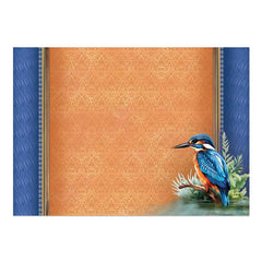 Beautiful Birds Deco-Large Set - Colourful Kingfisher-4