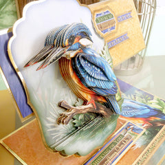 Beautiful Birds Deco-Large Set - Colourful Kingfisher-6